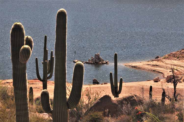 bartlett lake